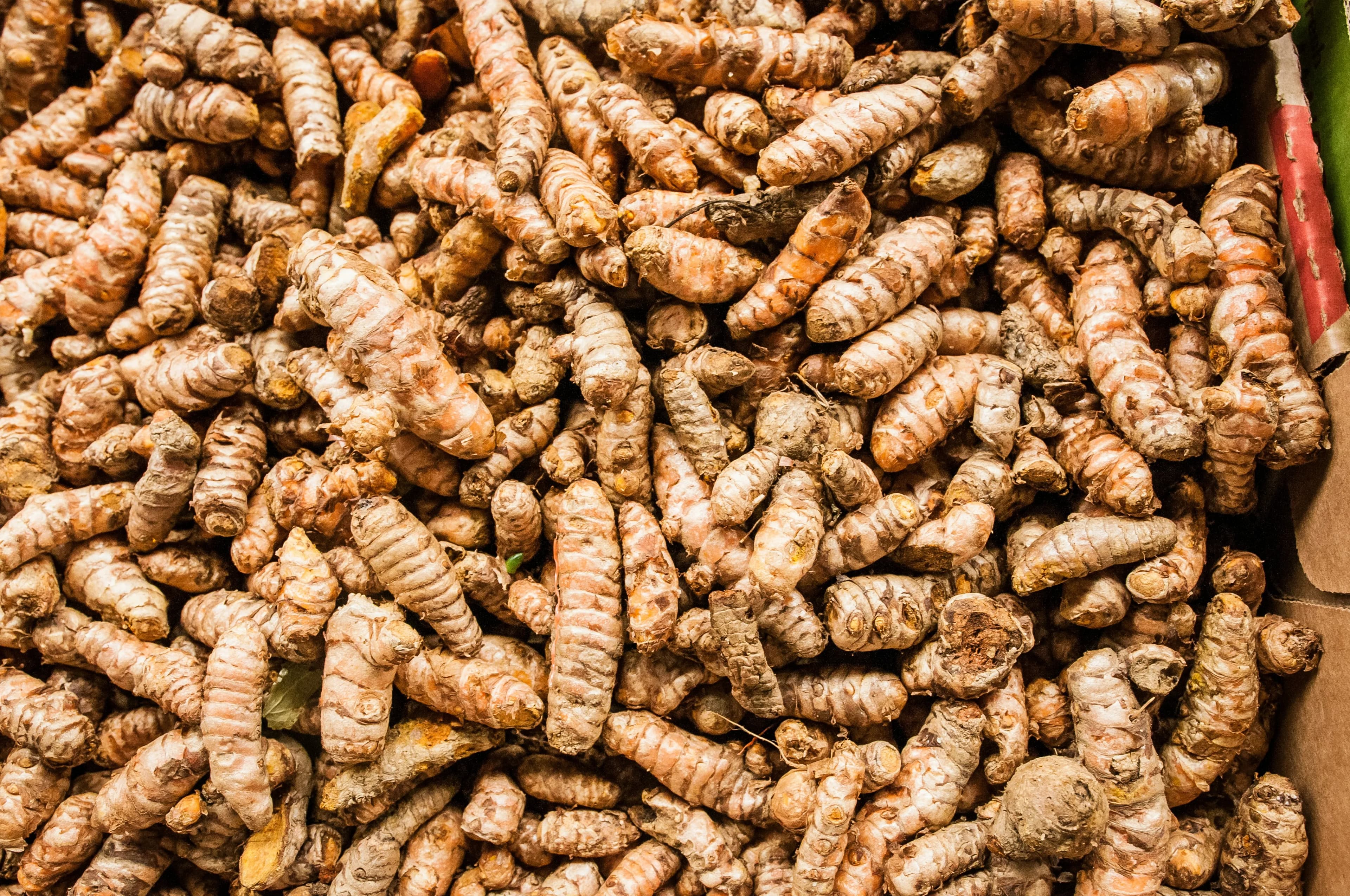 Rare Black Turmeric
