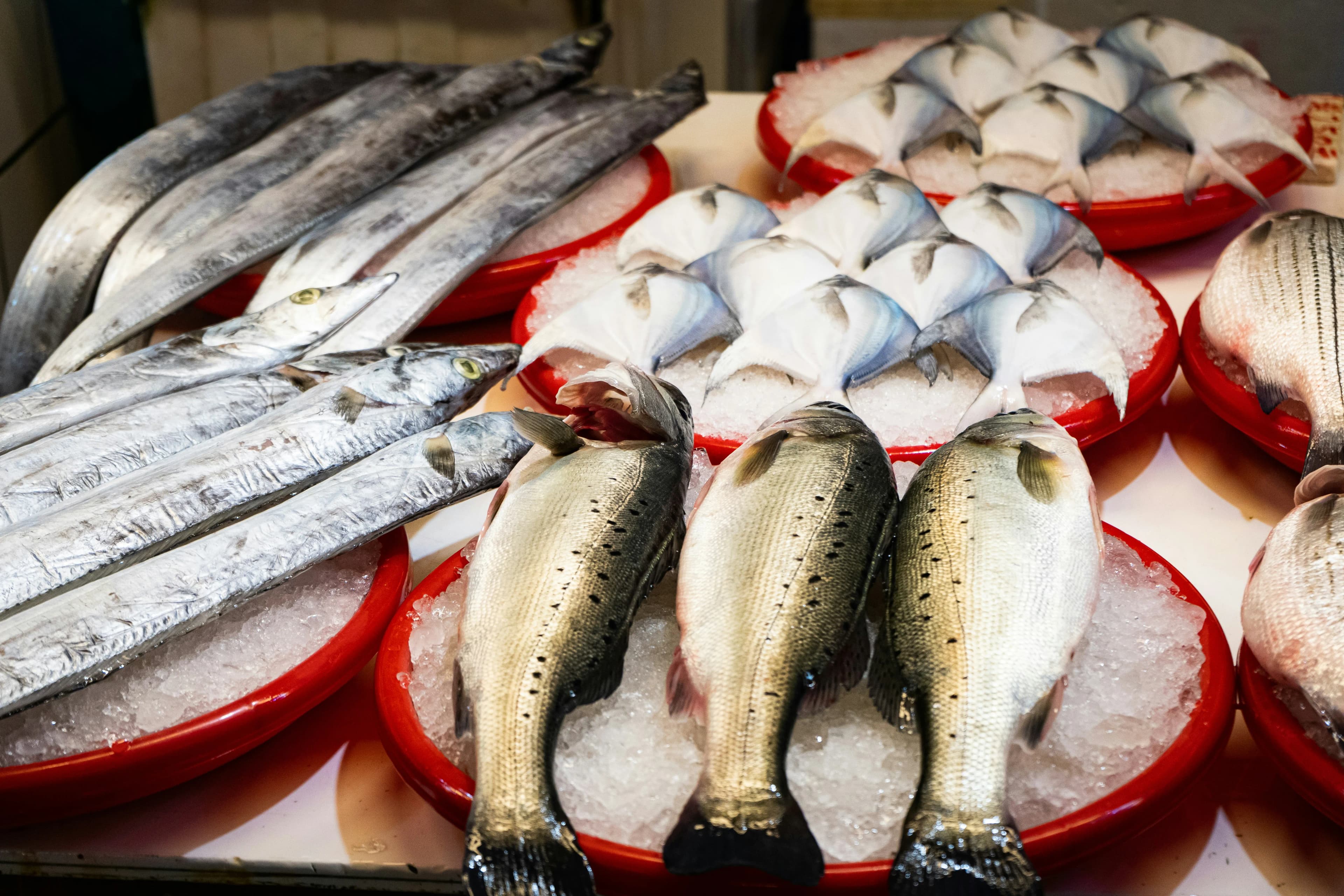 Fresh Quality Fish
