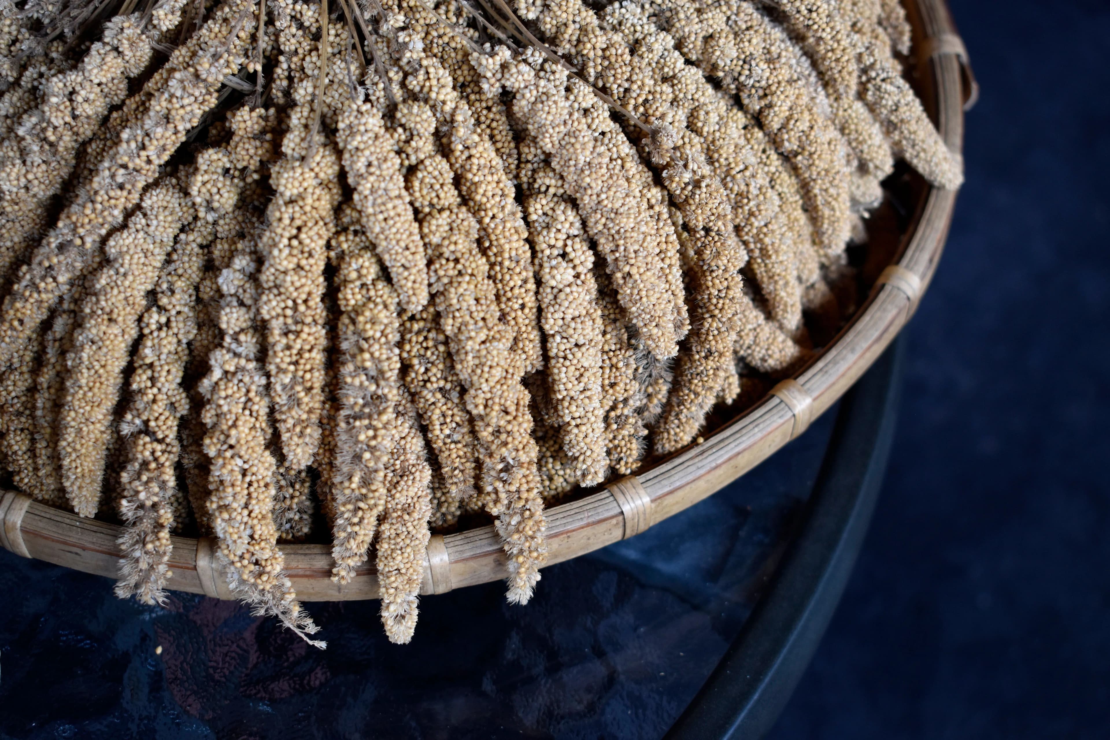 Nutritious Millets