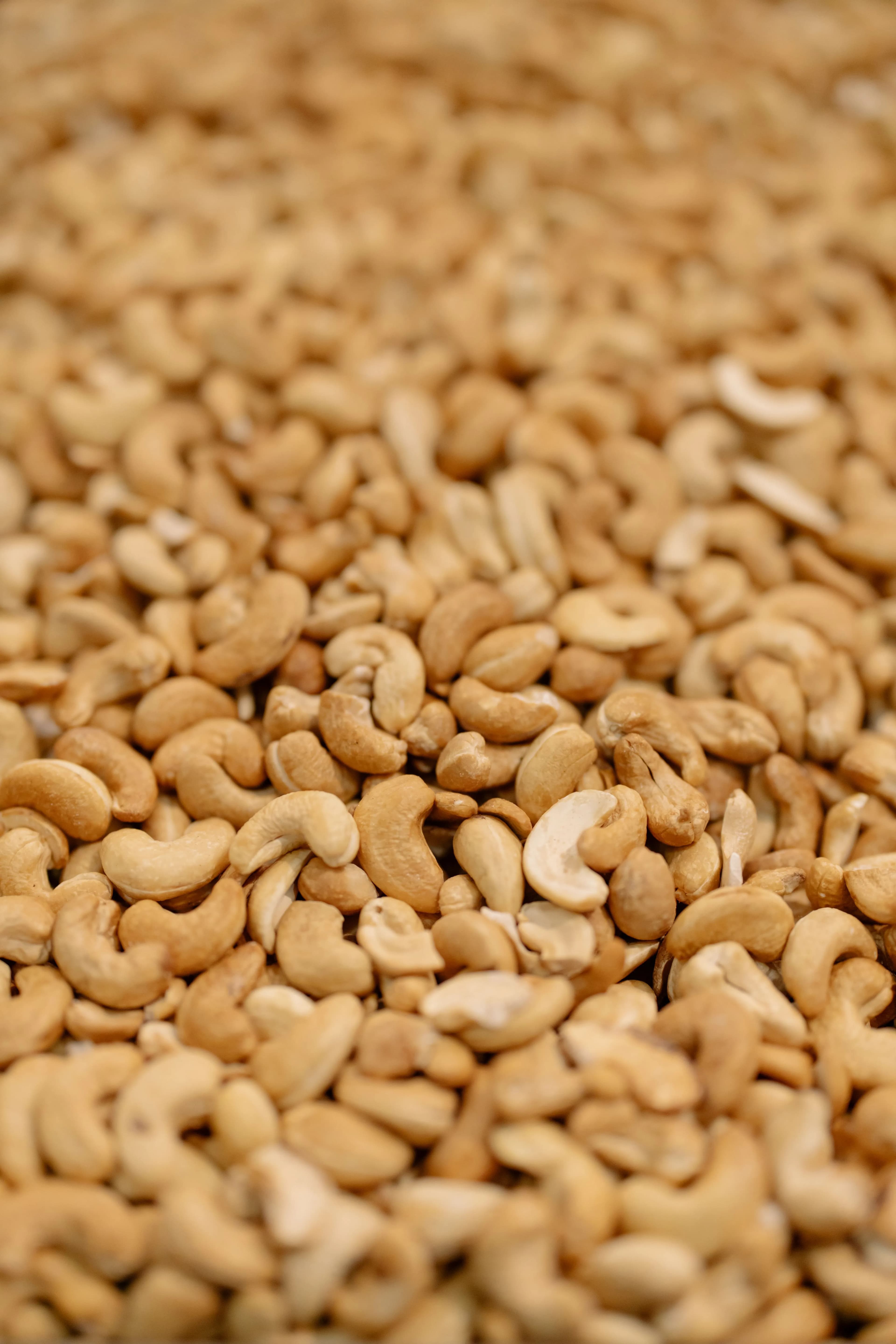 Premium Cashew Nuts (Kaju)
