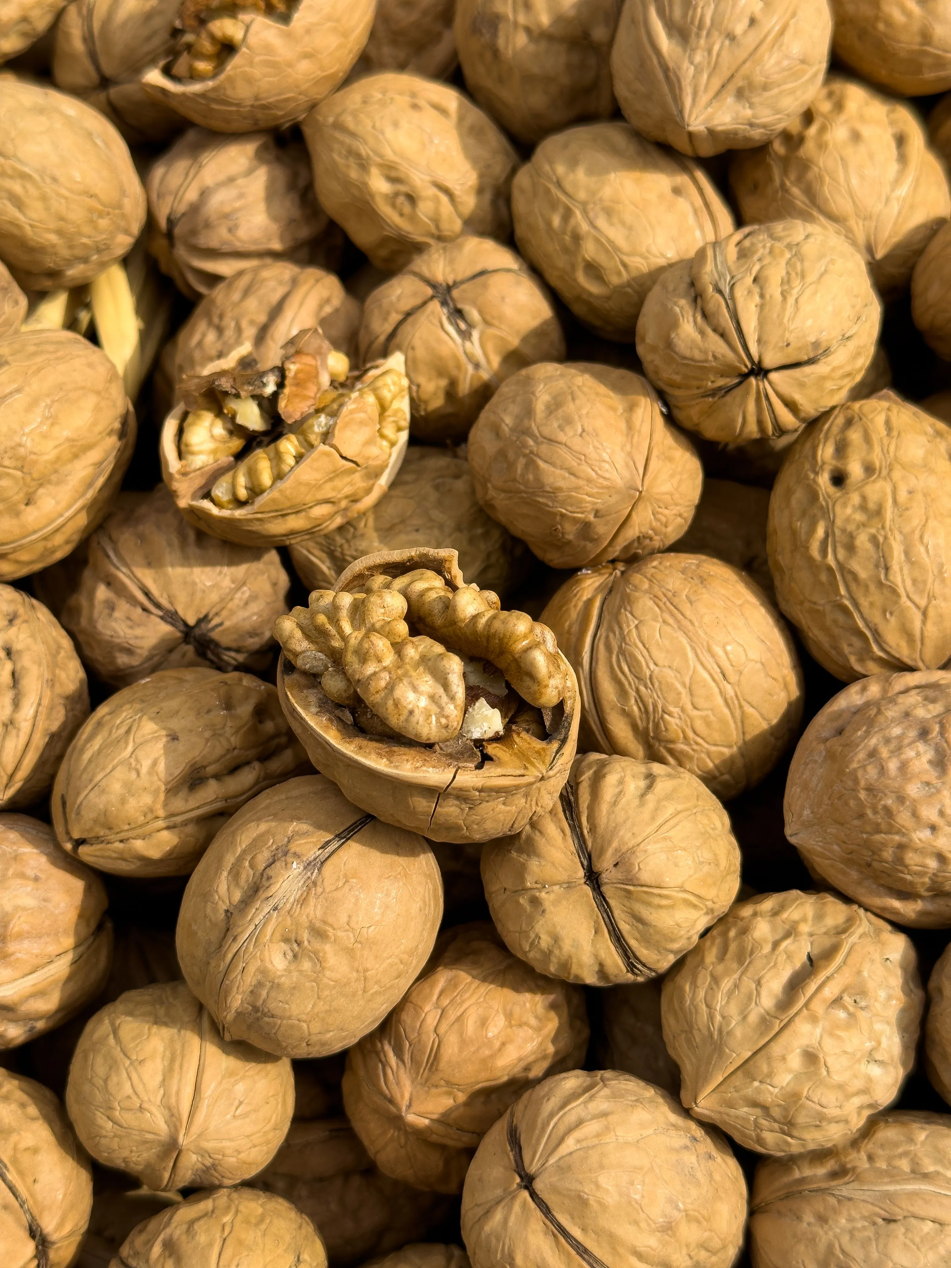 Premium Walnuts (Akhrot)