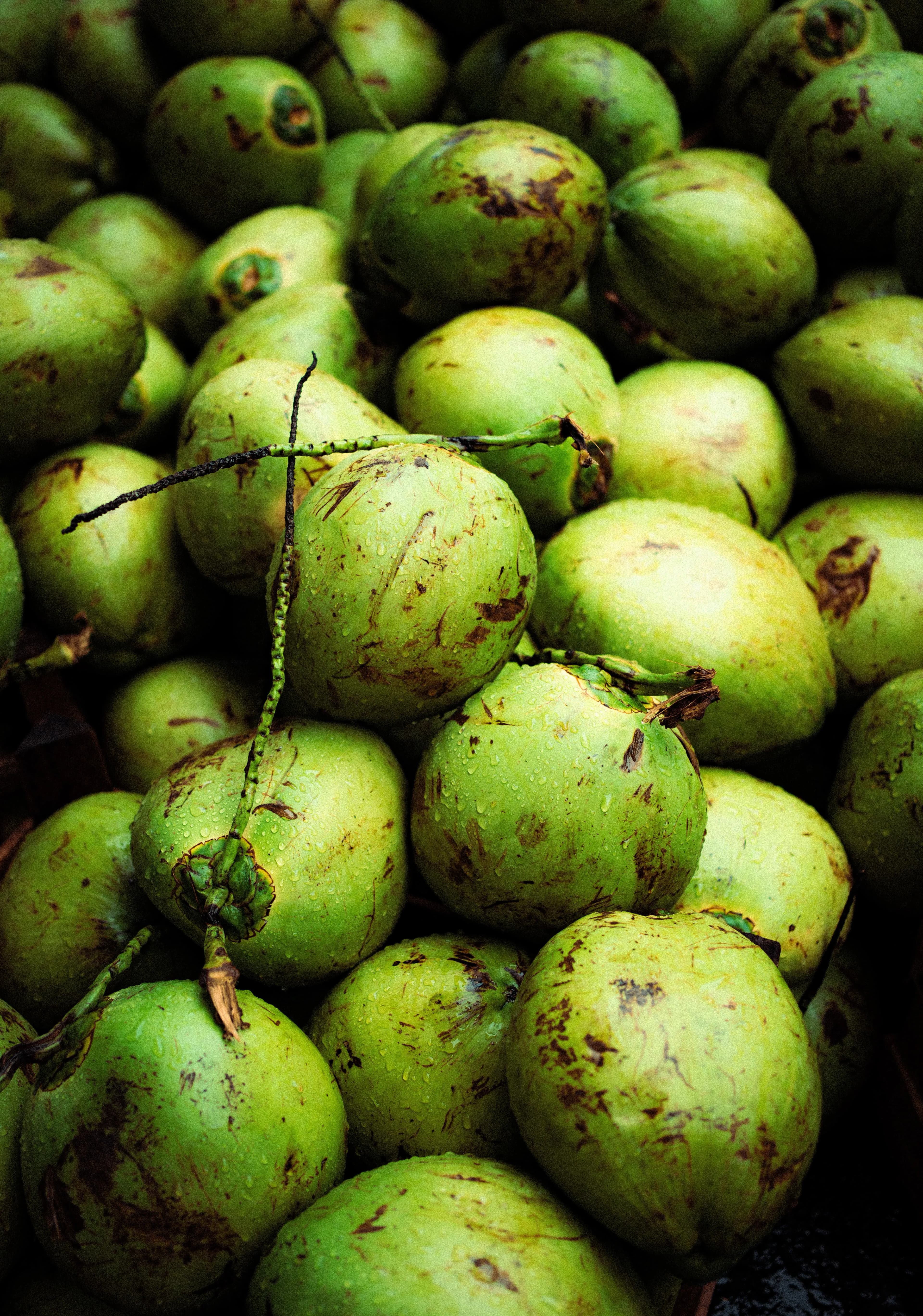 Fresh Coconut