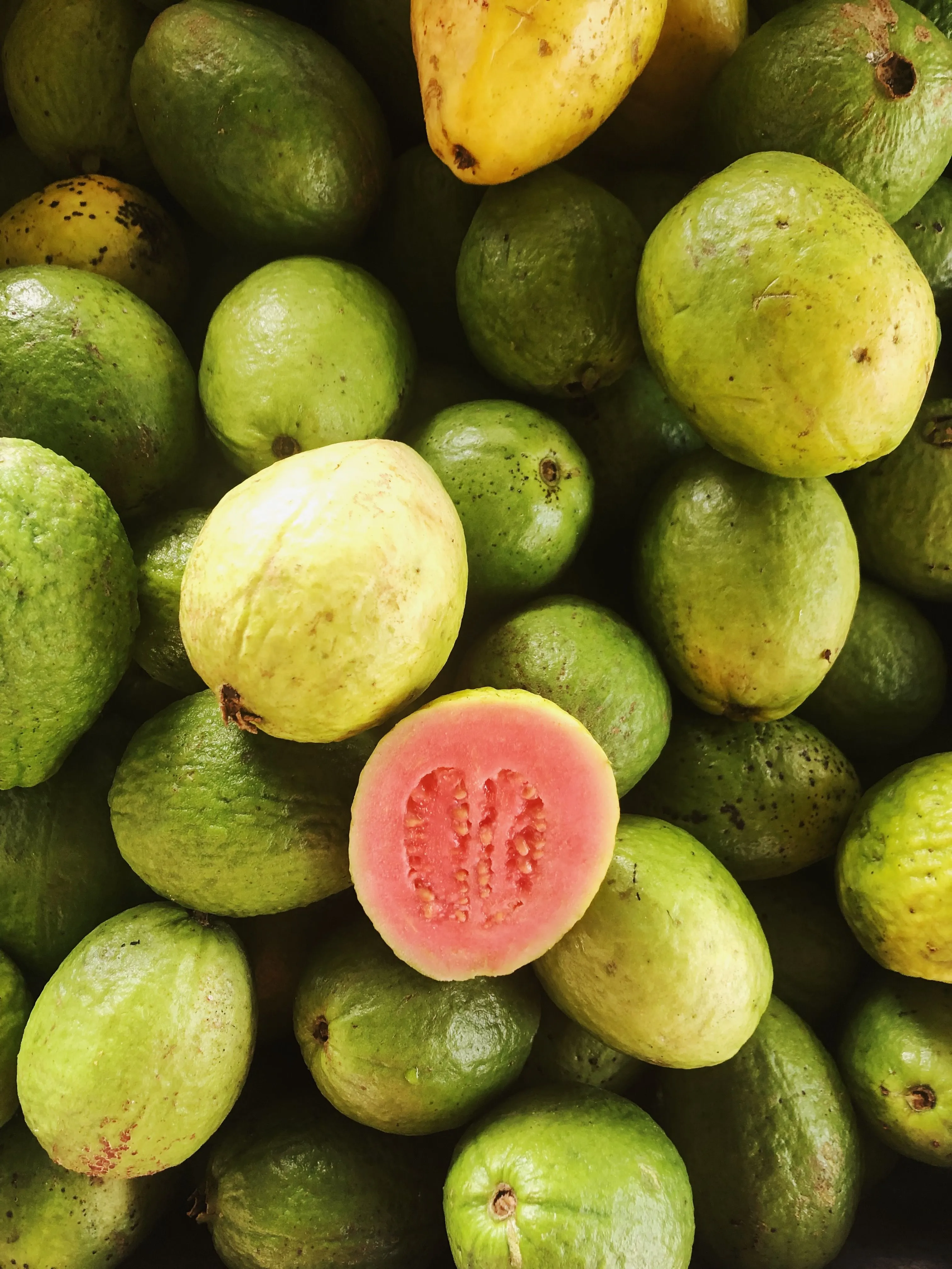 Fresh Guava