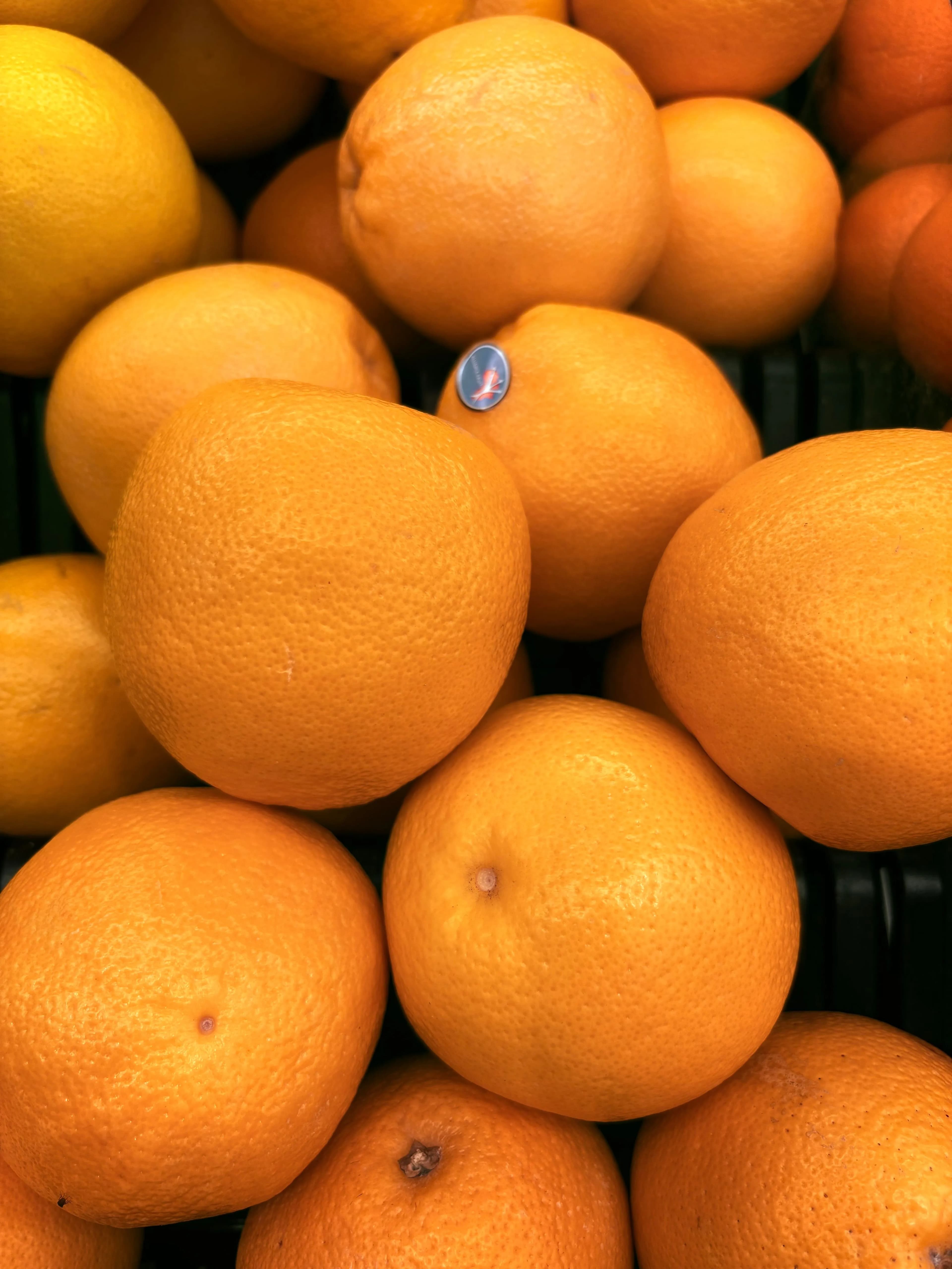 Fresh Oranges