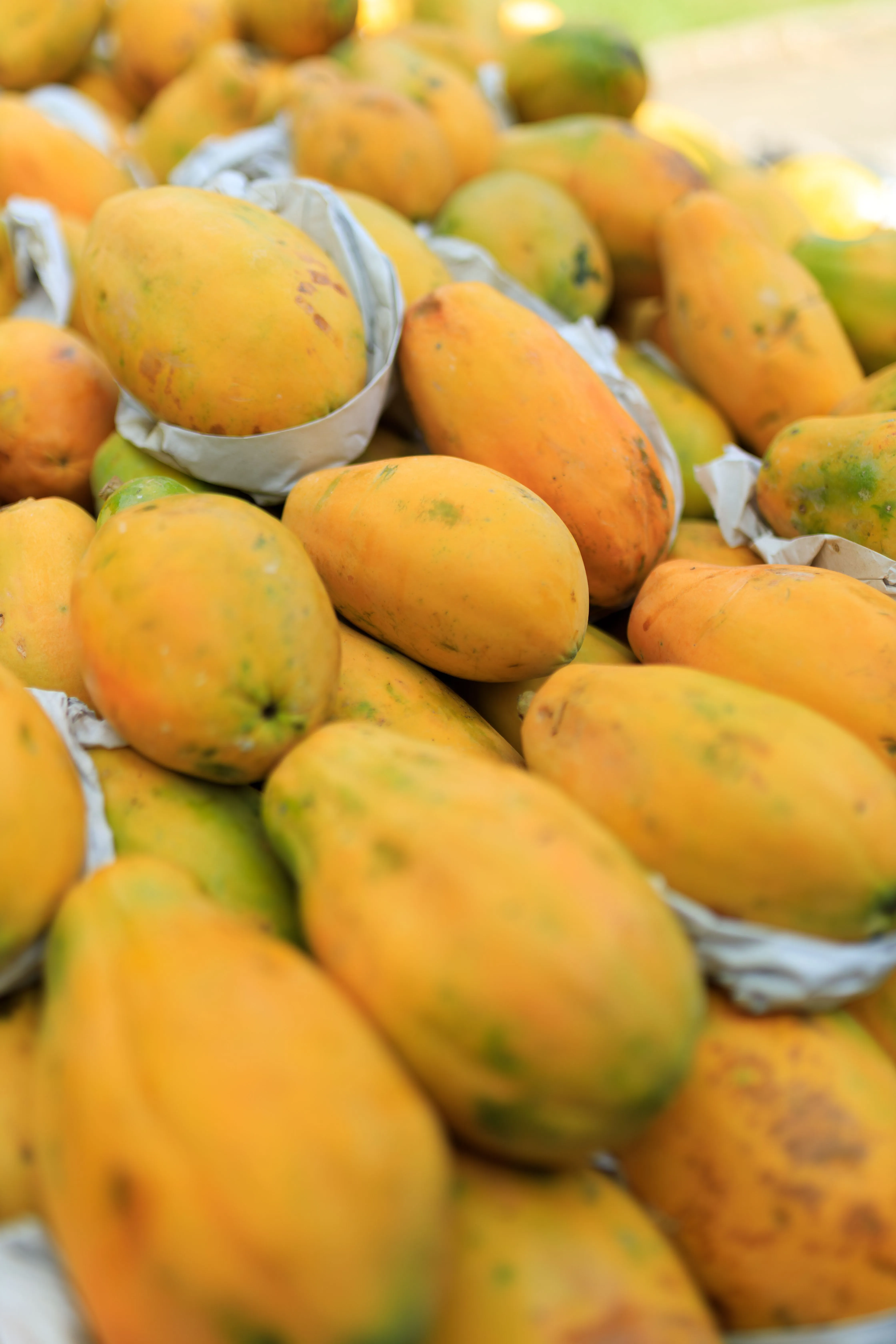 Fresh Papaya