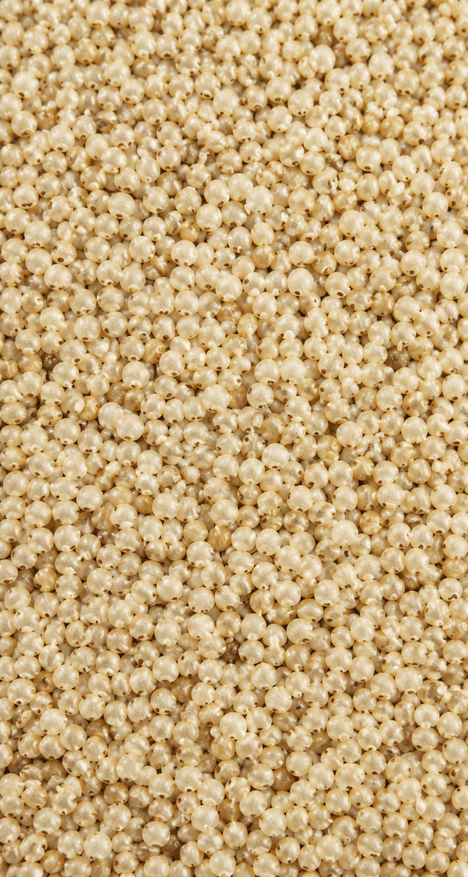 Barnyard Millet (Sanwa/Jhangora)