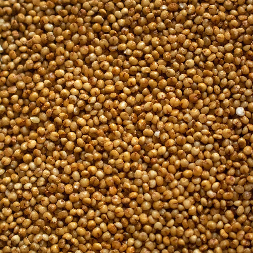 Kodo Millet (Kodon)