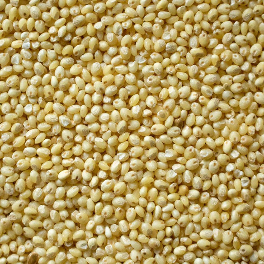 Proso Millet (Chena/Barri)