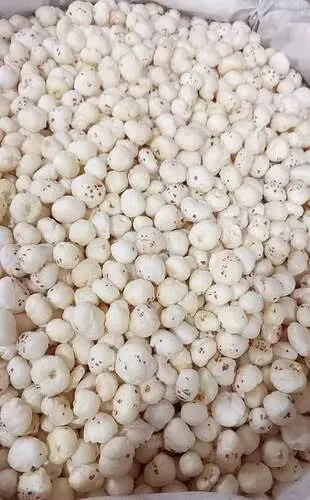 Makhana (Fox Nuts)