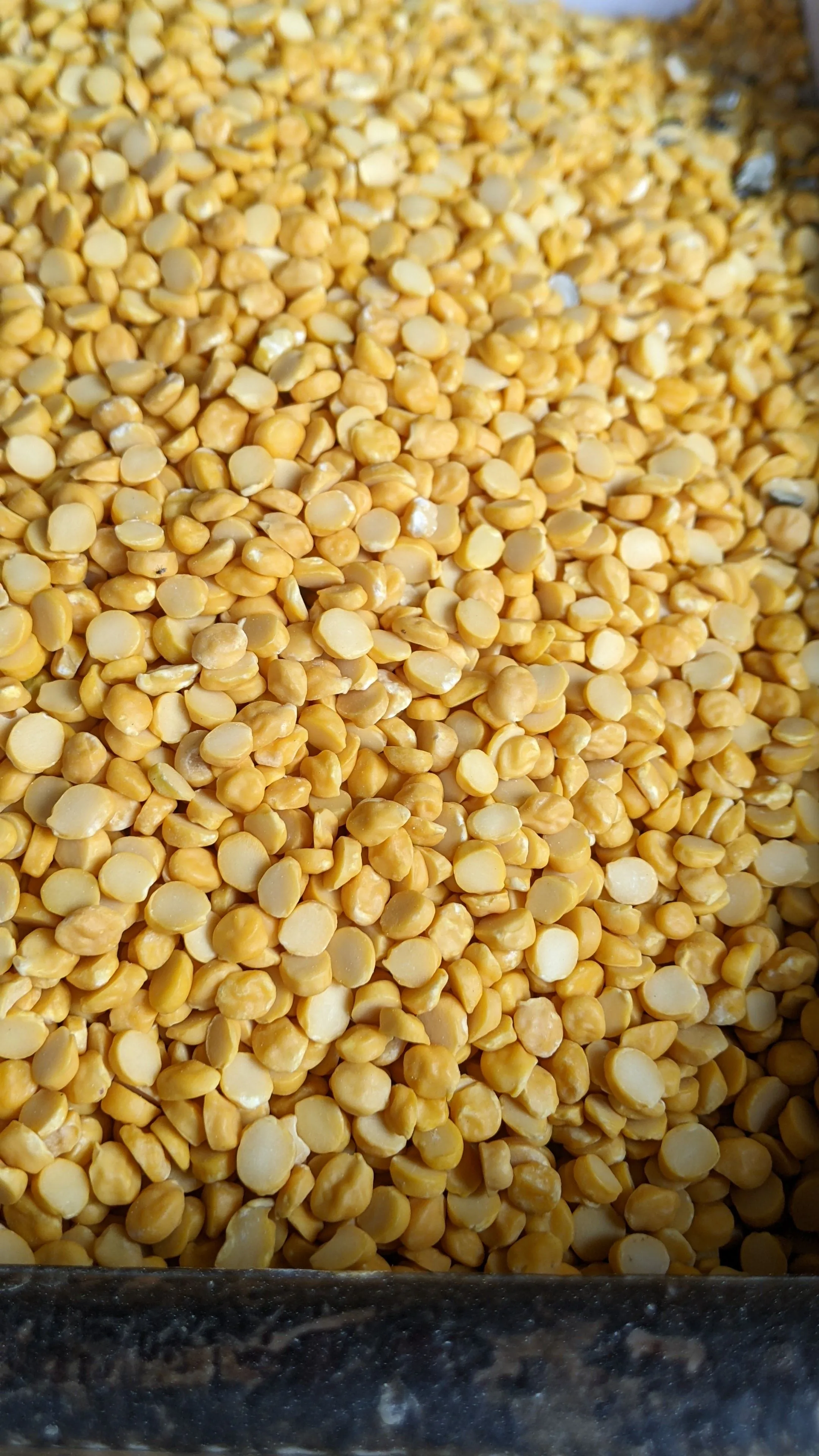 Chana Dal (Bengal Gram)
