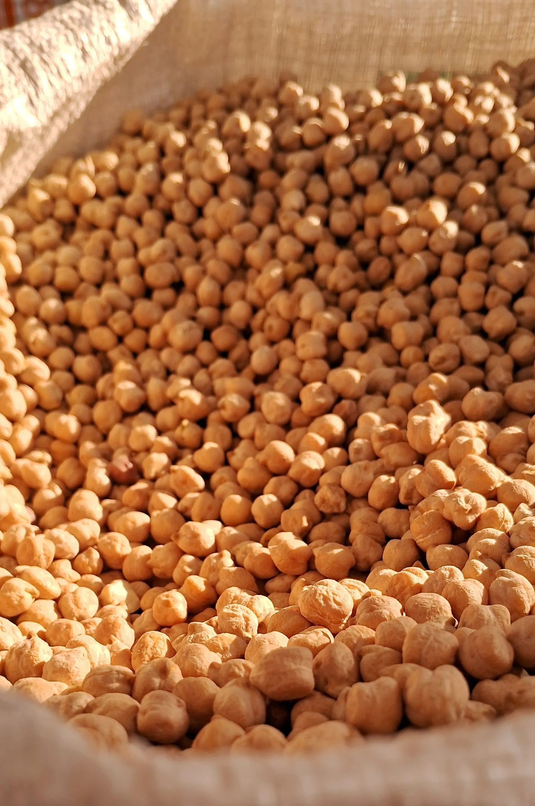 Kabuli Chickpeas (Chana)