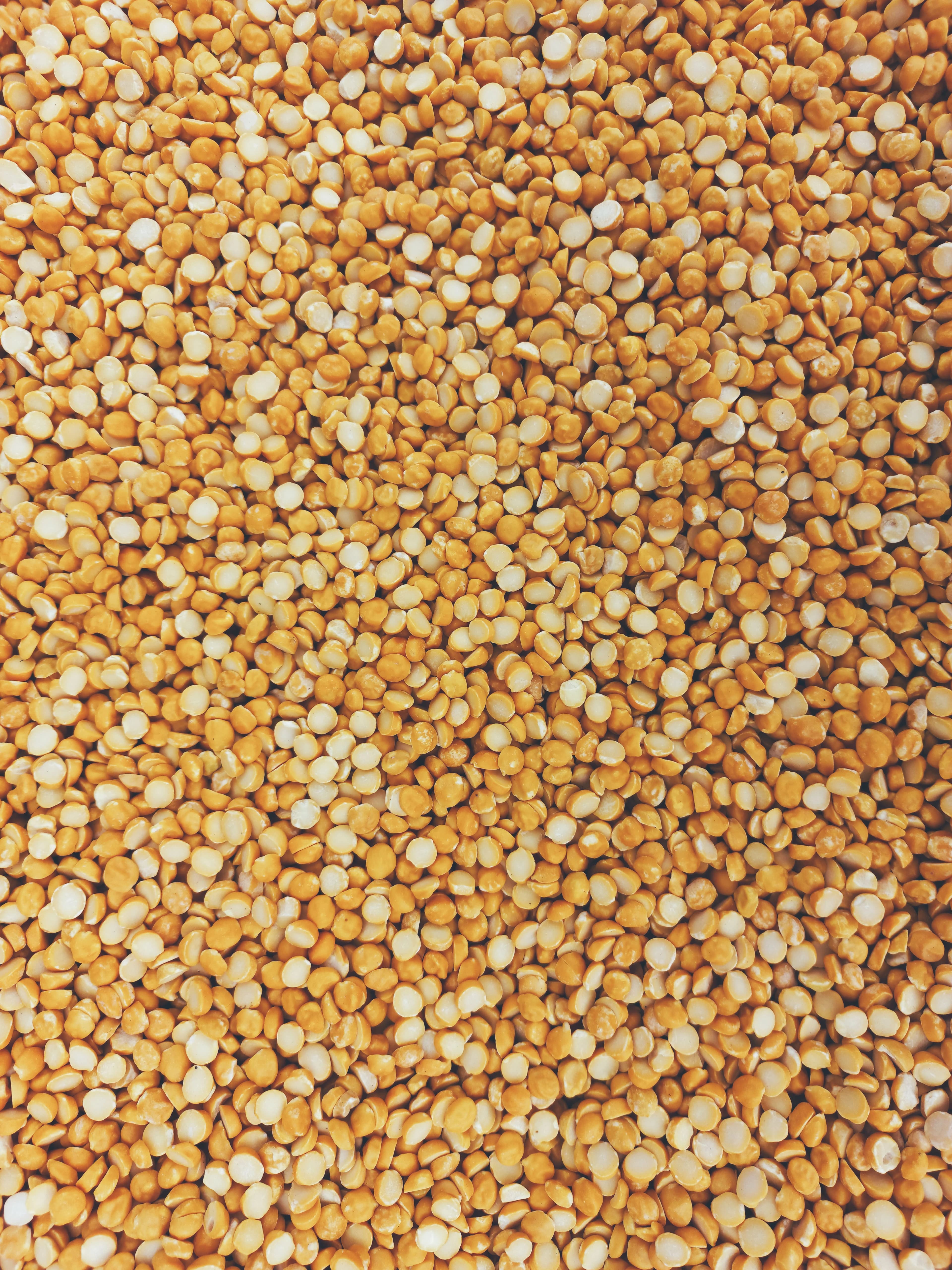 Toor Dal (Arhar / Pigeon Peas)