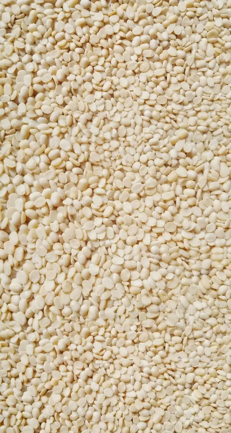 Urad Dal (Black Gram)