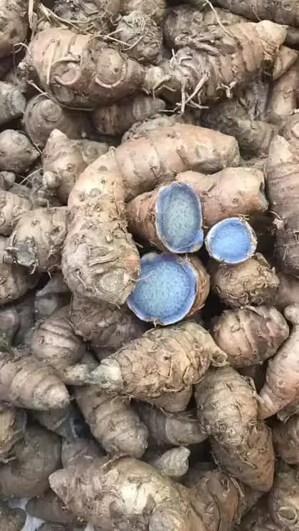 Black Turmeric (Kali Haldi)