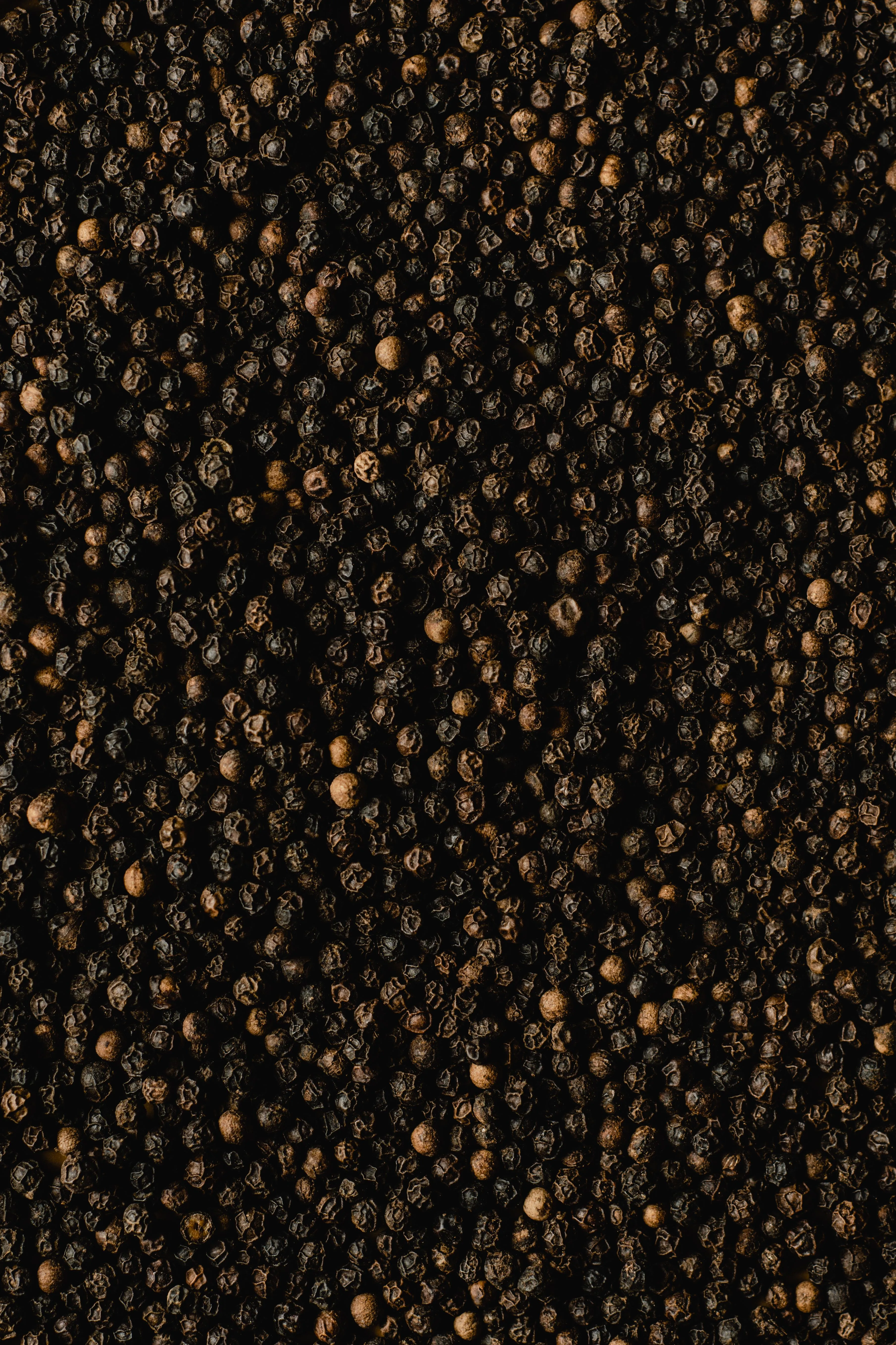 Black Pepper