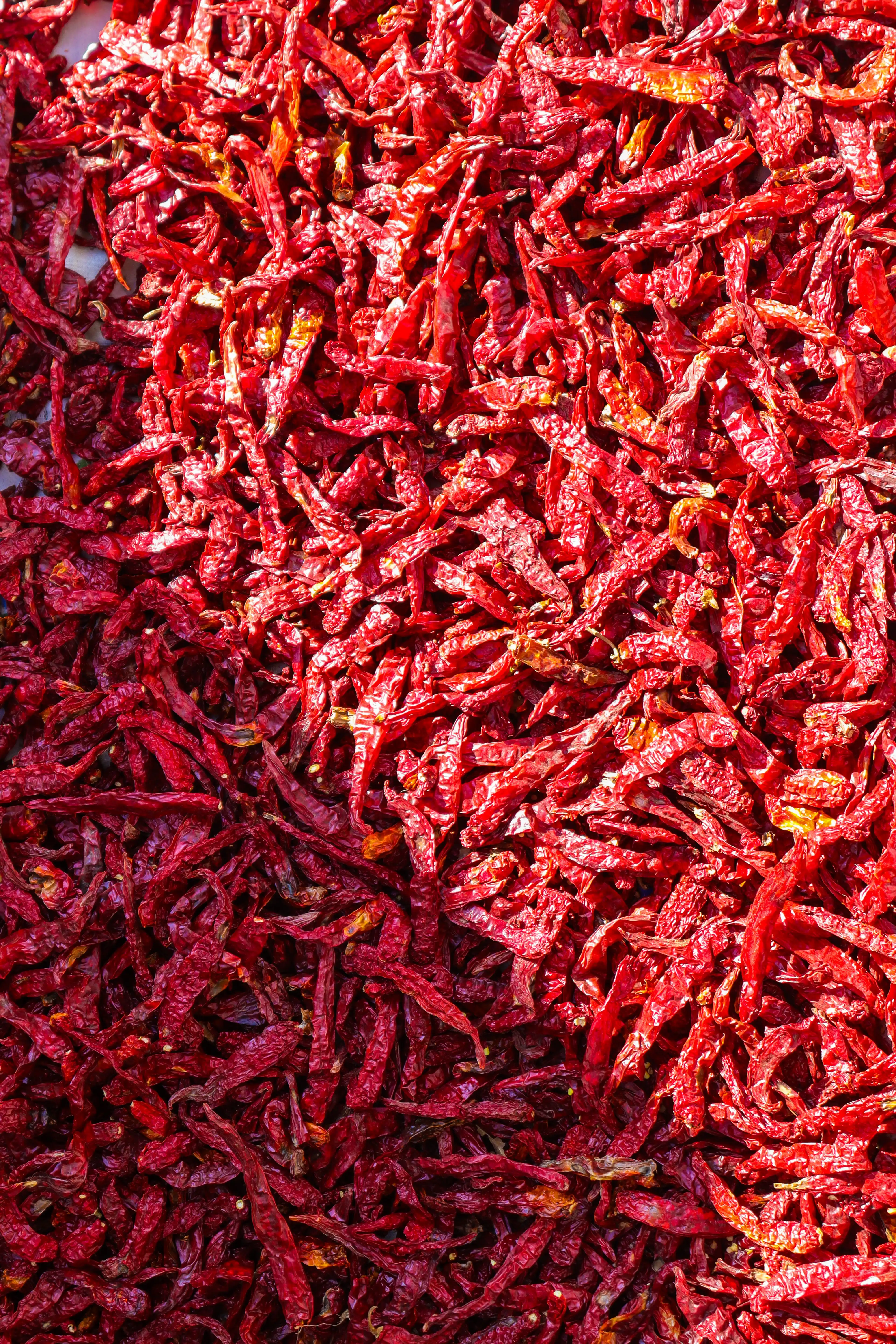 Red Chillies