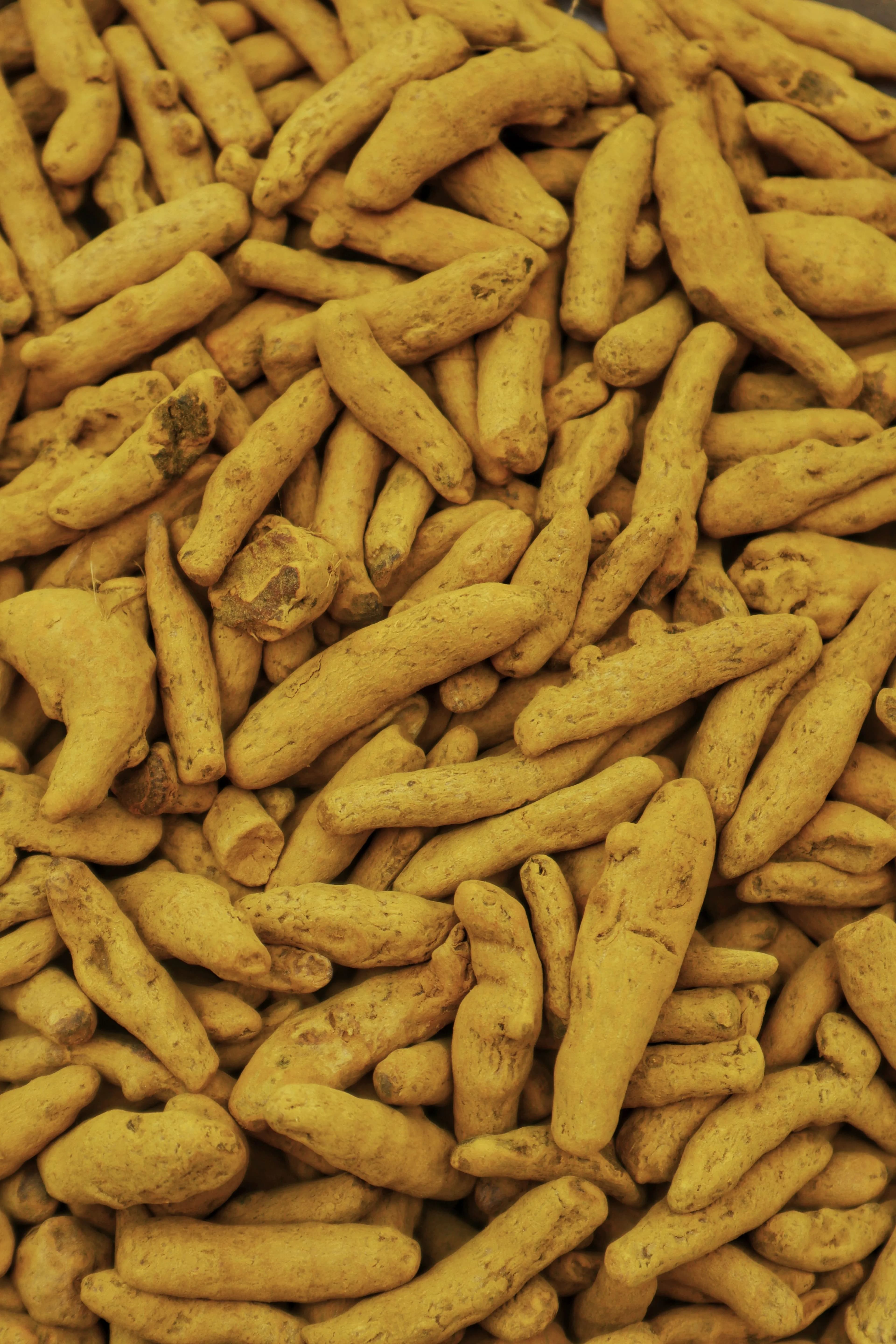 Turmeric (Haldi)