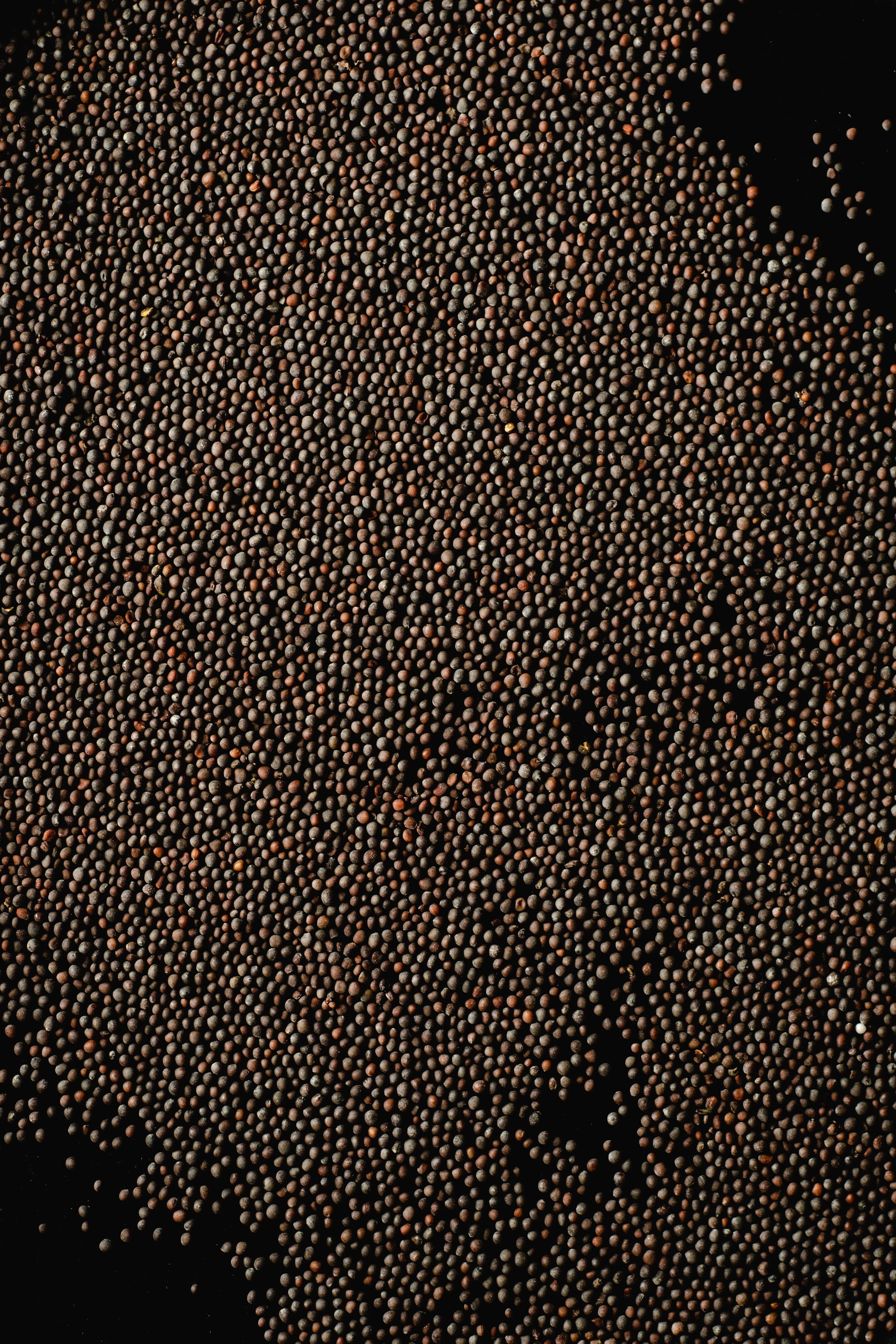 Mustard Seeds