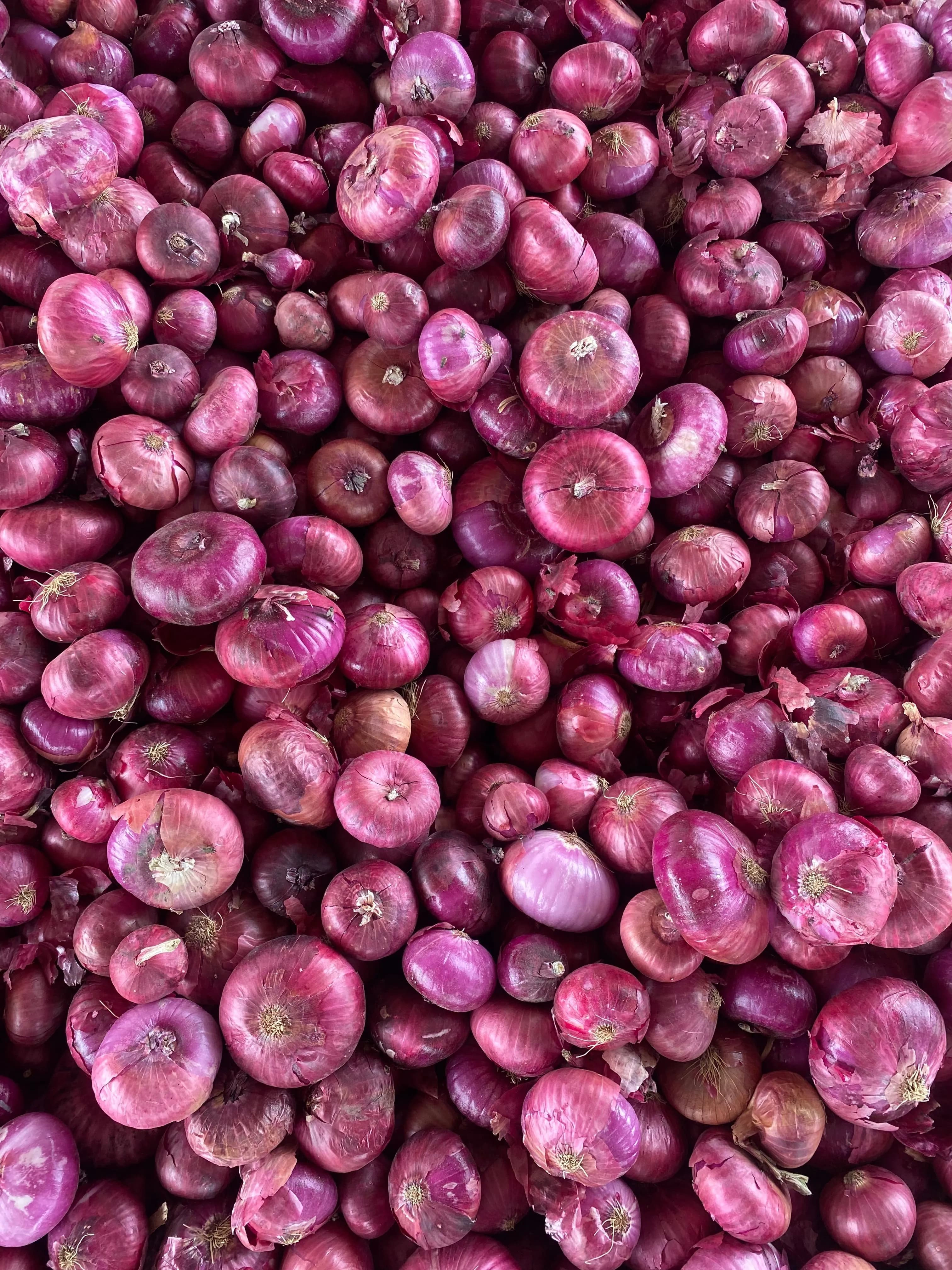 Fresh Red Onions