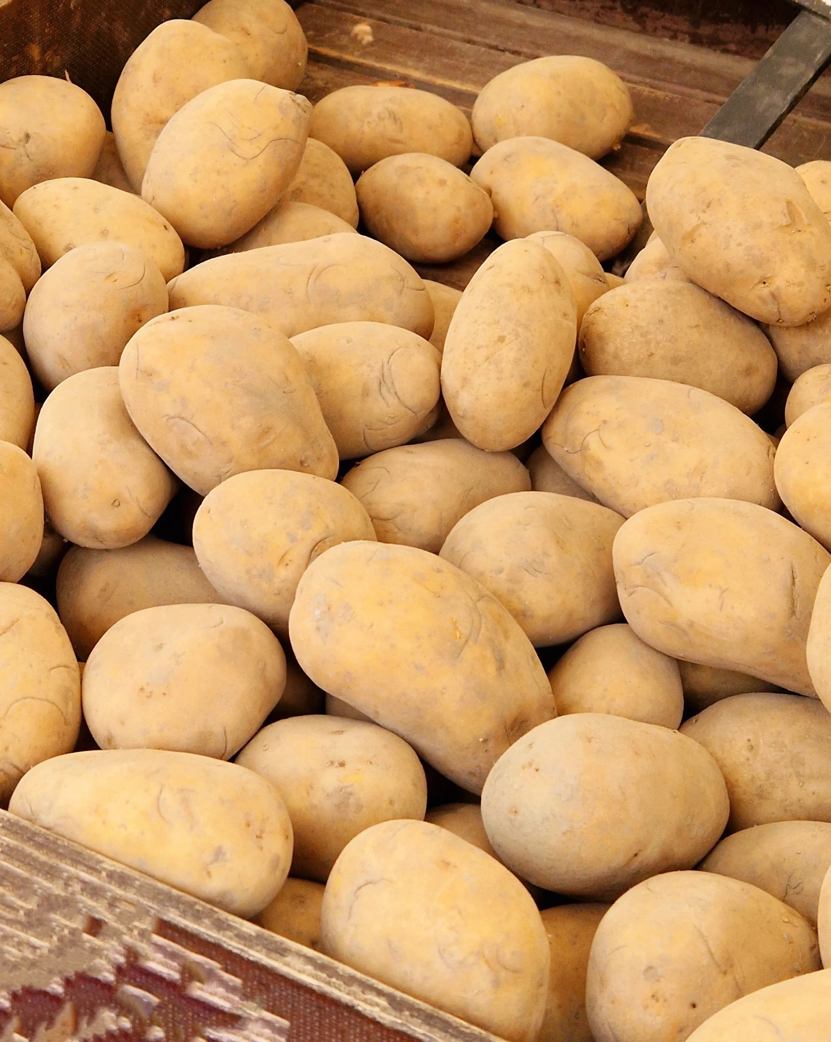 Fresh Potatoes